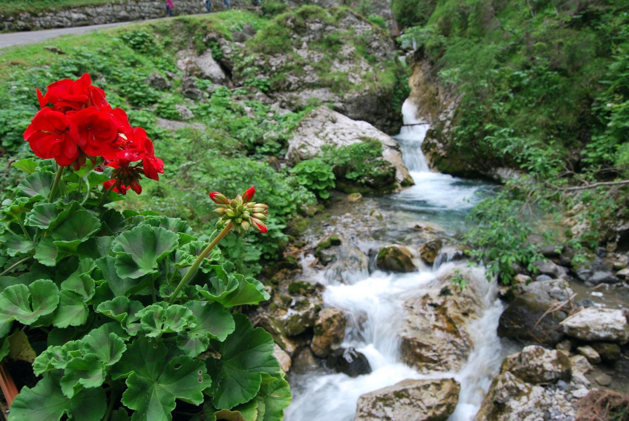 Dolomitissime Holiday Homes Marmolada ร็อคคา ปิเอโตเร ภายนอก รูปภาพ